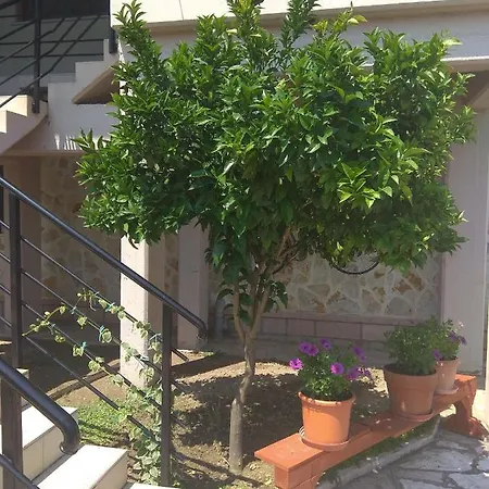 Apartment Simos