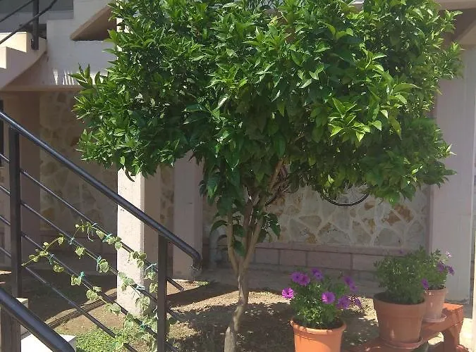 Apartment Simos